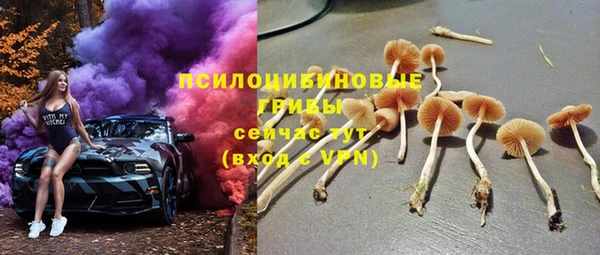 тгк Абдулино