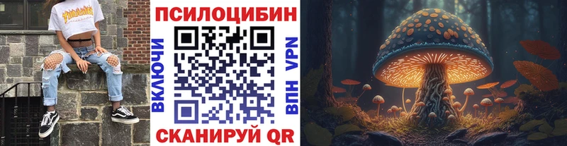 наркотики  Новосиль  Галлюциногенные грибы Cubensis 