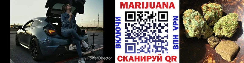 Канабис конопля  как найти   Новосиль 